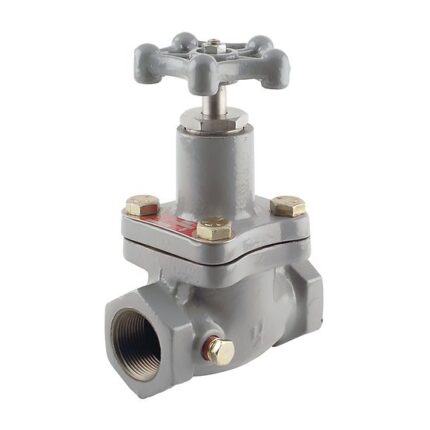 Fisher™ N300 Glob Vana ve N400 Açılı Vana Serisi