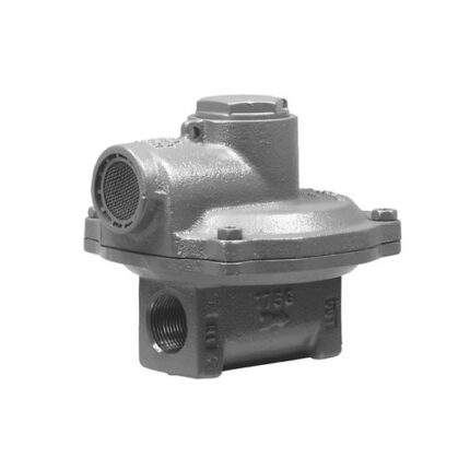 Fisher™ Tip S402Y Basınç Düşürücü Regülatör